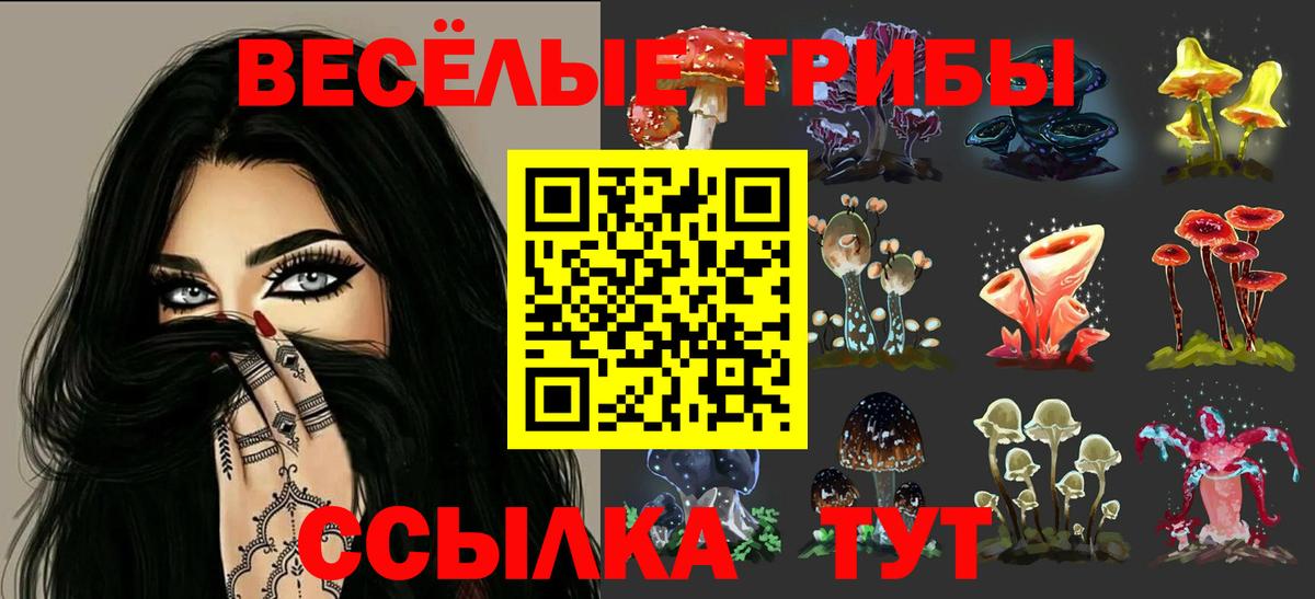 Псилоцибиновые грибы MAGIC MUSHROOMS  Галлюциногенные грибы Cubensis  Вход с VPN  Бугульма 